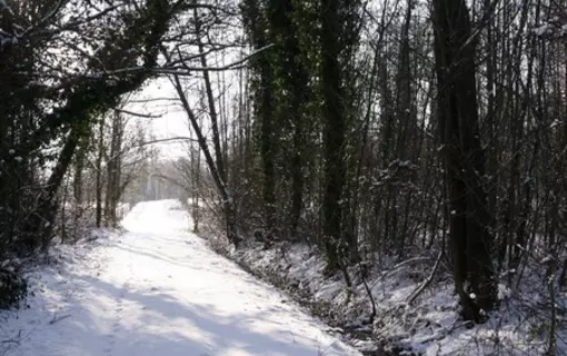 des lieux surprenants
